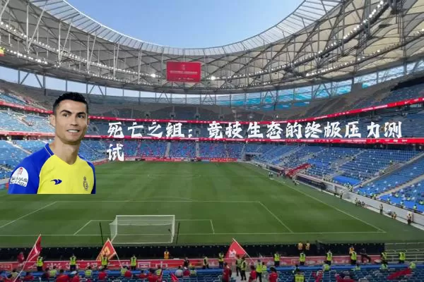 死亡之组：竞技生态的终极压力测试